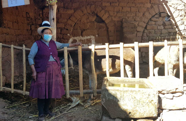 Mrs Julia welcomes to the team to her new donkey shelter, built with support from the CERF project