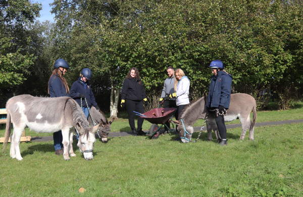 N Brown Group stood with donkeys