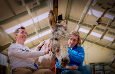 Donkey 'therapy' with cancer patients