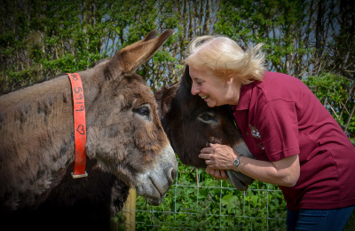 Volunteer with donkey