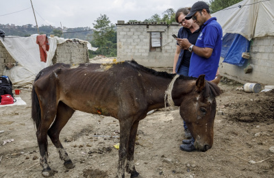 The Donkey Sanctuary staff member uses EARS in Nepal