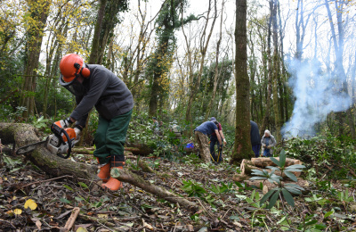 Organised conservation group working in Paccombe woods