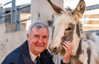 Peter Wright Yorkshire Vet with foal