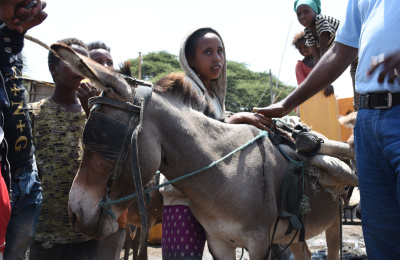 Margartu with donkey, Ethiopia