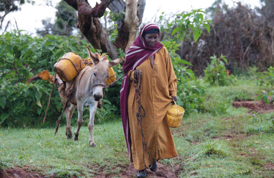 Tumme and Bukke collect water, Ethiopia