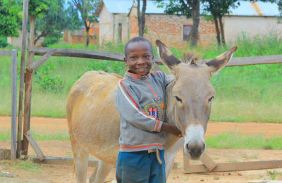Boy with Tanzanian donkey