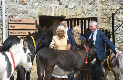 HRH the Duchess of Cornwall with Ruby and other main barn donkeys