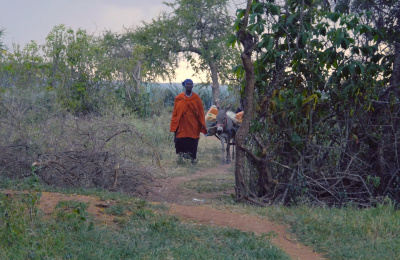 Woman leading donkey to water source in Tanzania