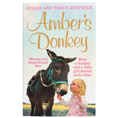 Amber&#039;s Donkey