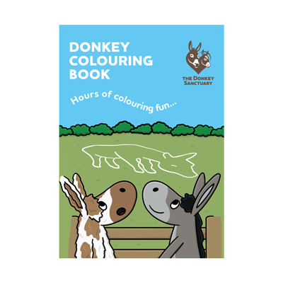Donkey Colouring Book