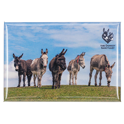 Tin Magnet - Five Donkeys
