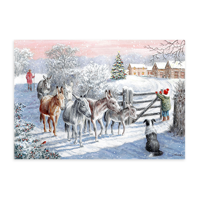 Home for Christmas Christmas Cards, Pack of 10