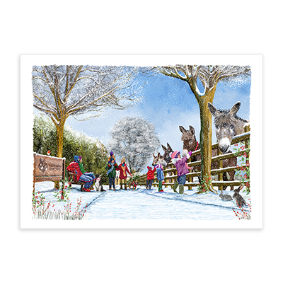 Sanctuary Stroll - Christmas Cards, Pack of 10