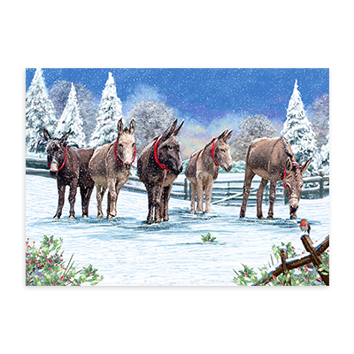 Donkeys in the Snow - Christmas Cards, Pack of 10
