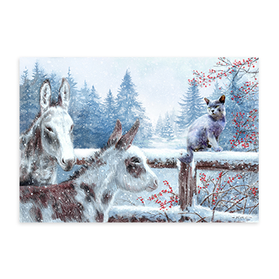 Talking to Beau - Christmas Cards, Pack of 10