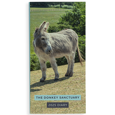 2025 Donkey Sanctuary Pocket Diary