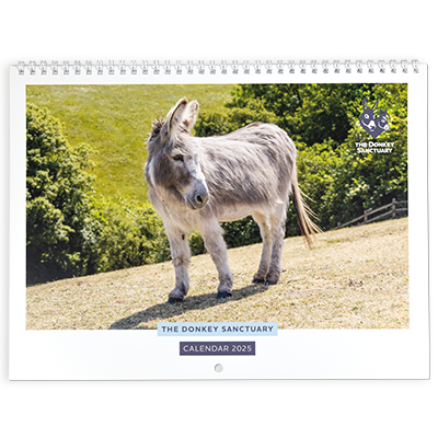 2025 Donkey Sanctuary Wall Calendar