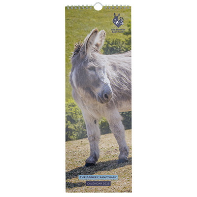 2025 Donkey Sanctuary Slim Calendar