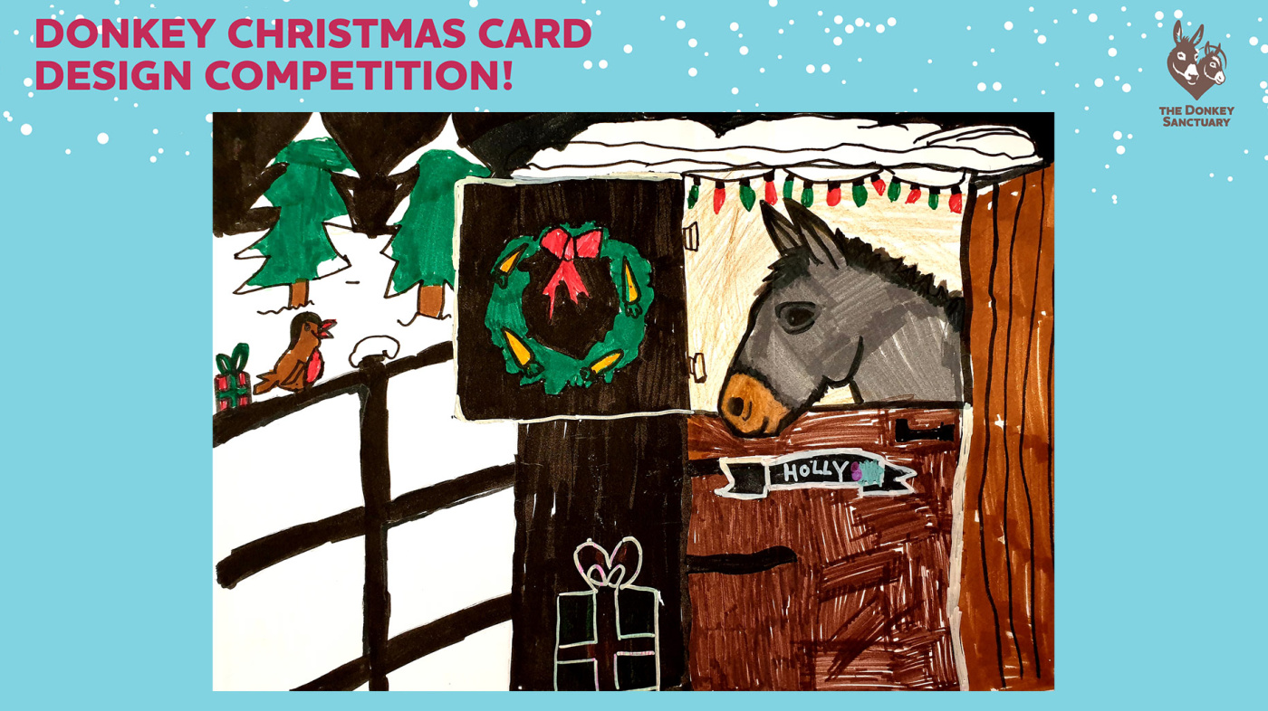 Amelie's highly commended Christmas card entry, showing an equine looking over a stable door among a snowy landscape