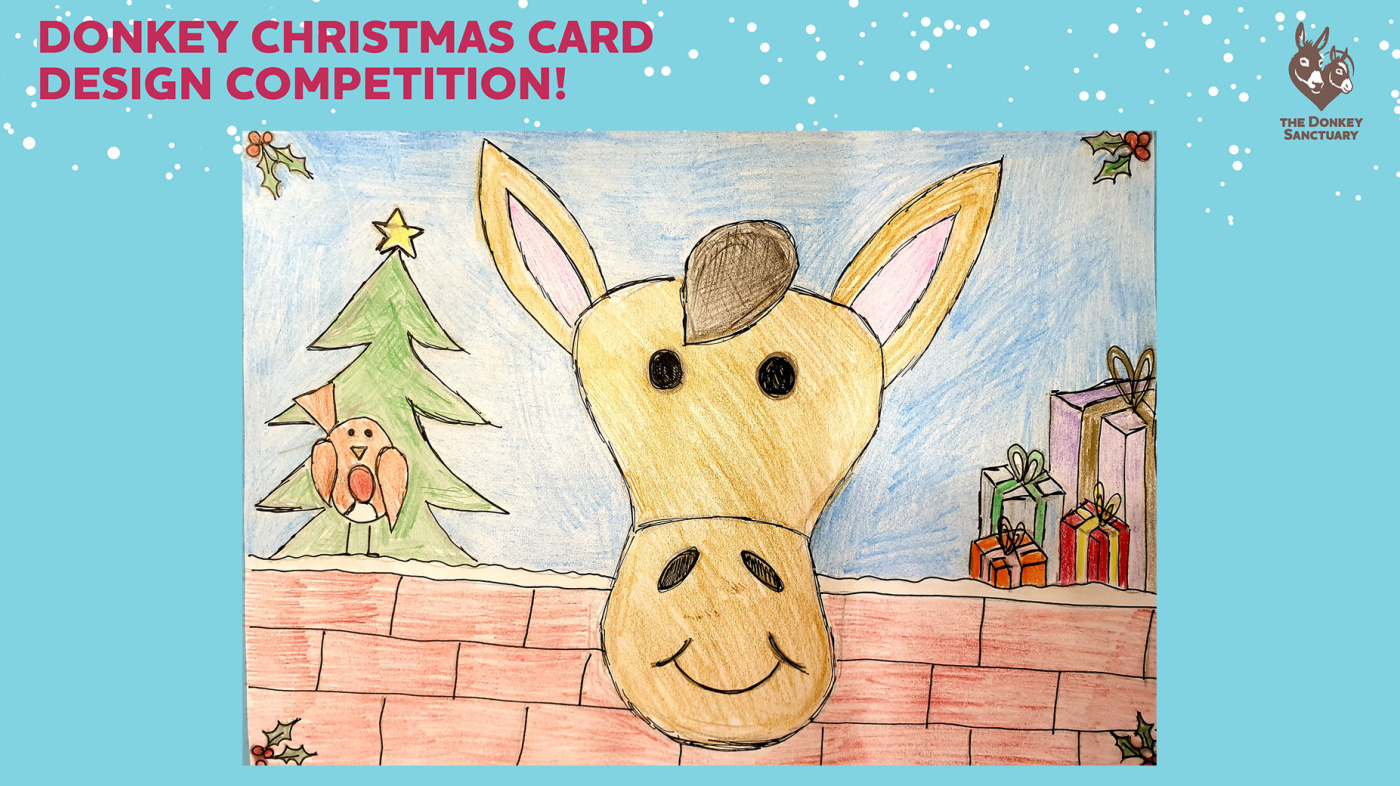 Katie's highly commended Christmas card entry, showing a donkey peering over a brick wall with a robin, a Christmas tree, and presents either side of it