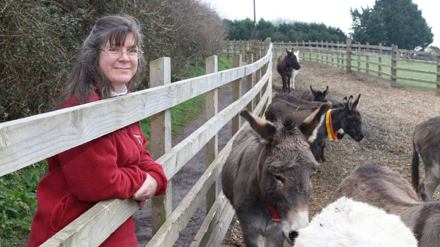 Judith Crockford with donkeys at The Donkey Sanctuary