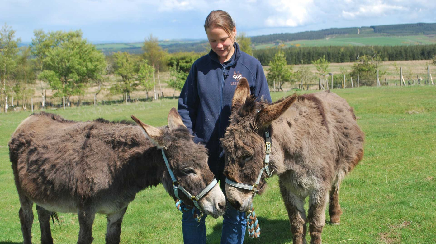 Daisy (left) and Thistle (right) with Donkey Welfare Adviser Sally Bamforth