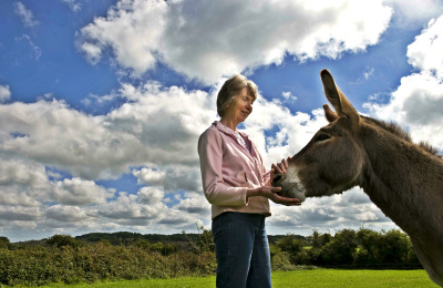 Owning a donkey