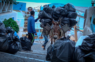 Mules on steps on Santorini collecting rubbish bags