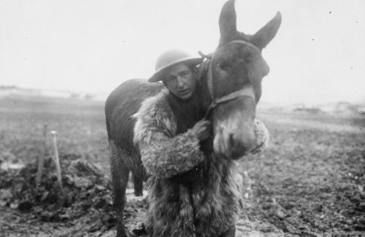 British soldier with mule