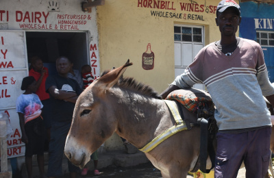 Fredrick, Kenyan donkey owner