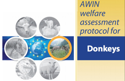 AWIN welfare assessment protocol for donkeys