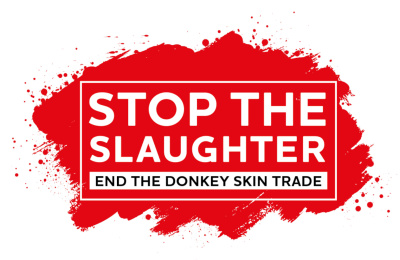 Stop the Slaughter: End the Donkey Skin Trade