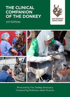 Clinical Companion Of The Donkey The Donkey Sanctuary