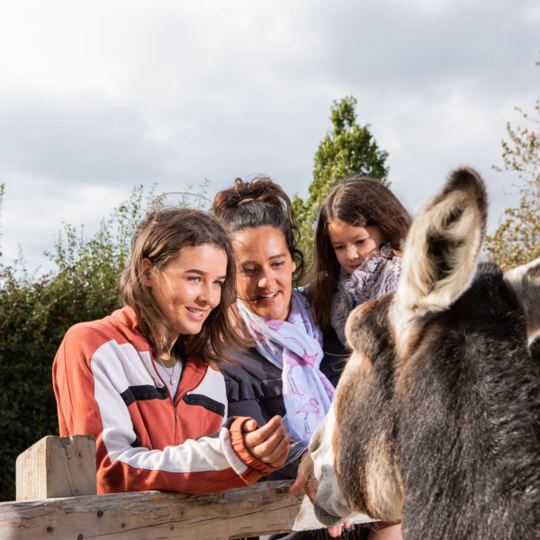 Mum and her two daughters meet donkey