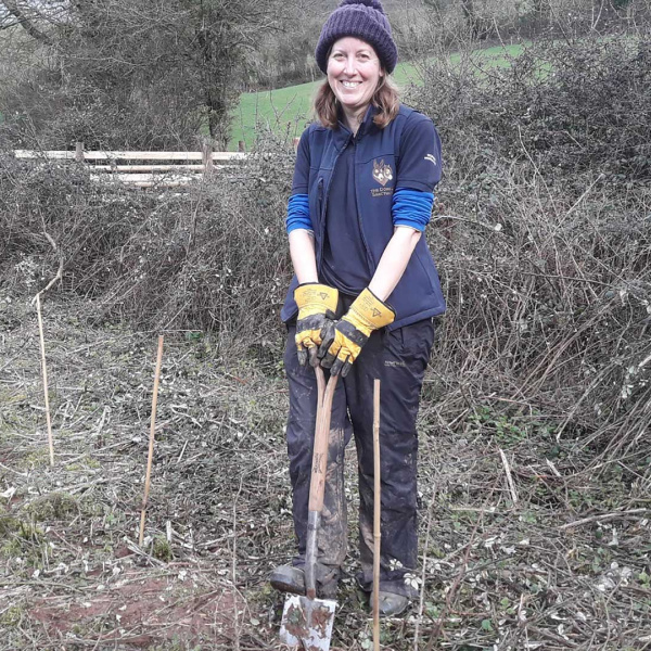Helen Cavilla, Ecology and Conservation Officer, planting hedgerows