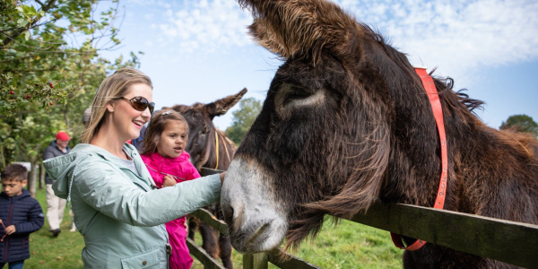 Mum and daughter enjoys meeting donkey