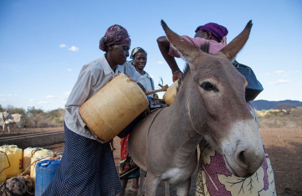Women load water panniers onto donkey's back