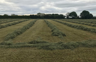 Cut haylage in Liscarroll, Ireland