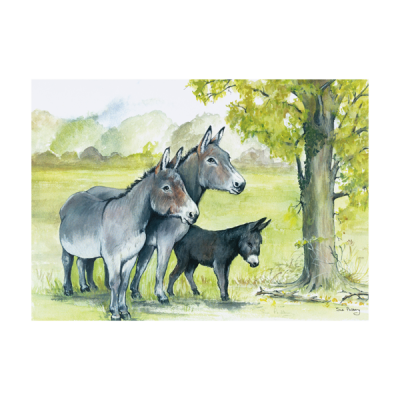 Donkeys Under a Tree Greeting Card