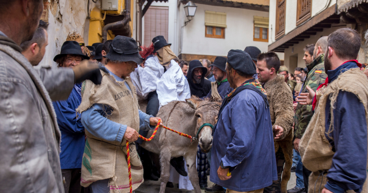 News | Donkey abuse petition handed to Spanish authorities | The Donkey  Sanctuary